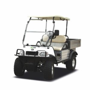 TURFMAN 700 AC